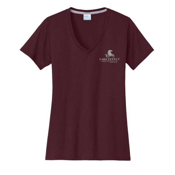 Lake Effect Performance V-Neck T-Shirt