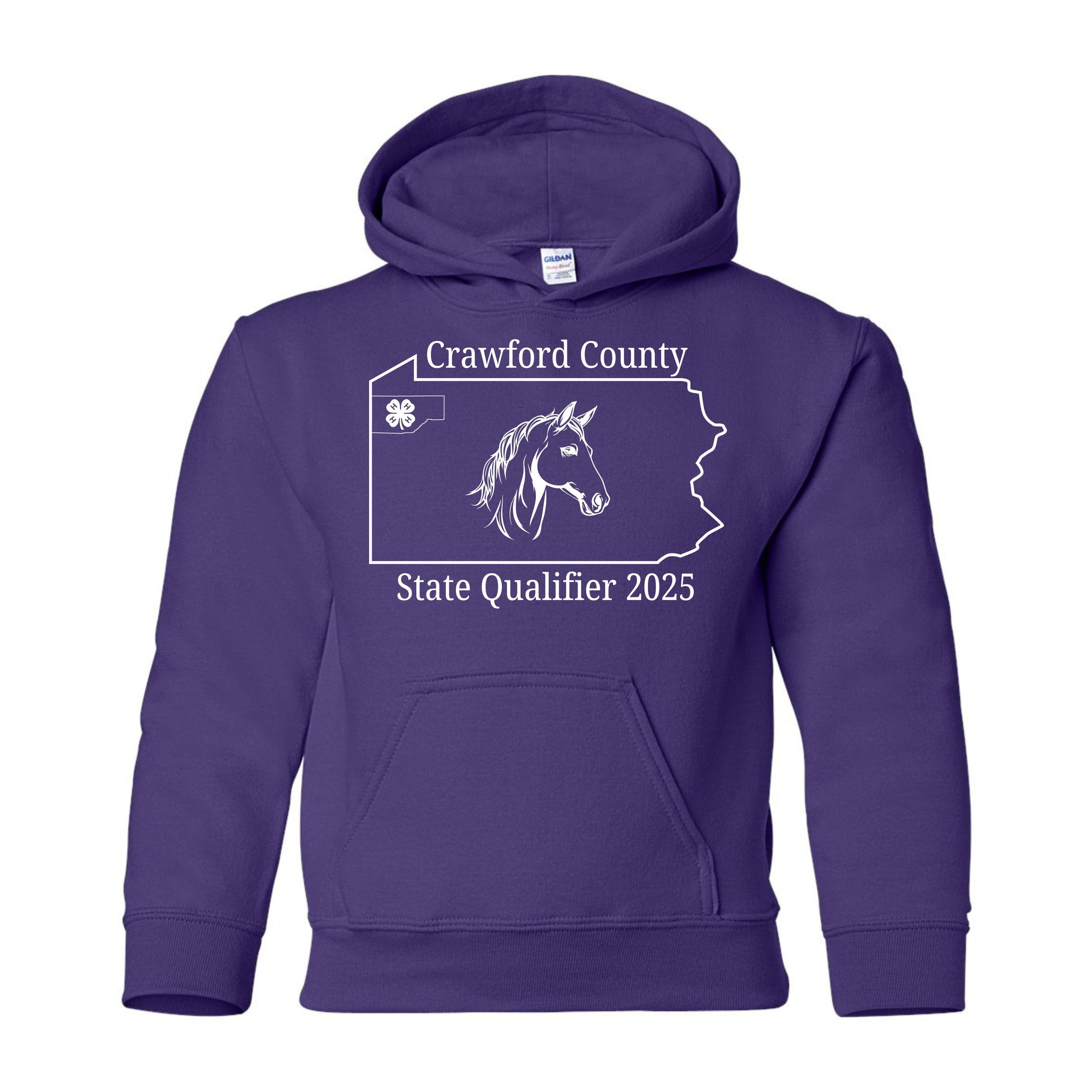 4H State Qualifier Youth Hoodie